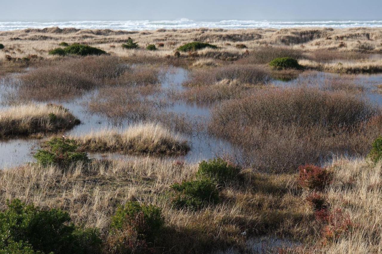 Tidal House 5 * Ocean Shores
